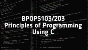 BPOPS103/203 Principles of Programming Using C